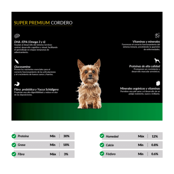 Canbo Cachorros de razas pequeñas - Imagen 2